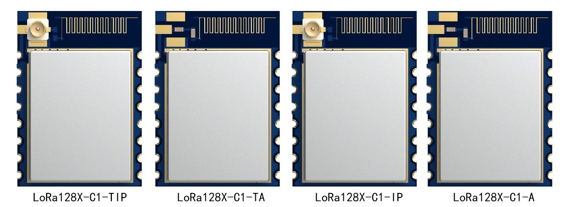 LoRa128X-C1系列